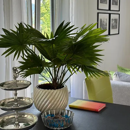 Delux-apartment In *